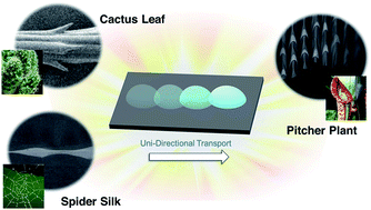 Review article published!